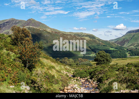 Vista estiva di scala Beck che conduce a Crummock acqua e nei dintorni di fells, Lake District, Cumbria, England, Regno Unito Foto Stock