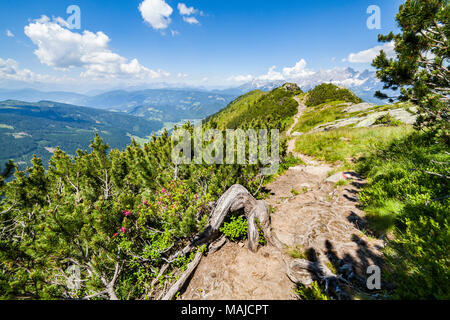 Sentiero escursionistico dalla montagna Reiteralm per Gasselhoehe e distante la gamma della montagna Dachstein in Stiria, Austria Foto Stock