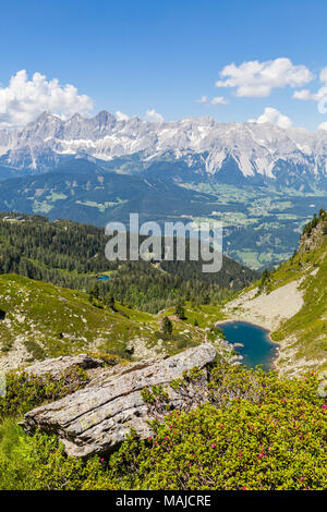 Vista aerea dalla montagna e Gasselhoehe Rippetegg con fiore Alpenrose al lago blu Spiegelsee e distante la gamma della montagna Dachstein in Austria Al Foto Stock