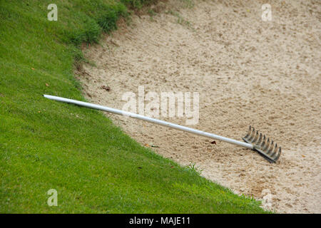 Rastrello in golf bunker di sabbia sul confine con erba verde Foto Stock