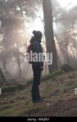 Una donna osserva il sorgere del sole attraverso gli alberi in una foresta. Foto Stock