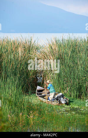 Fisherman espone per la cattura del mattino sul lago Chapala, Ajijic, Jalisco, Messico. Foto Stock