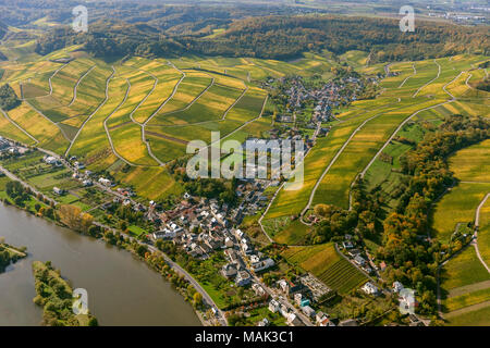 Zona vitivinicola Moselle Lussemburgo, vigneti, Remich, Saarland, Grevenmacher, Lussemburgo, Europa, vista aerea, uccelli-occhi vista, Vista aerea, antenna Foto Stock