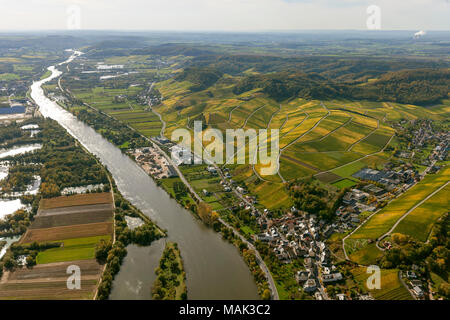 Zona vitivinicola Moselle Lussemburgo, vigneti, Remich, Saarland, Grevenmacher, Lussemburgo, Europa, vista aerea, uccelli-occhi vista, Vista aerea, antenna Foto Stock