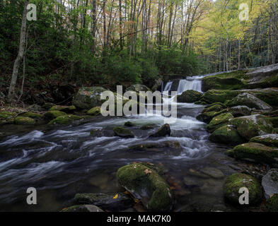 Lynn Camp rebbio è uno dei due principali affluenti che compongono il polo centrale del piccolo fiume nella Great Smoky Mountain National Park. Vi si può accedere attraverso il polo centrale il sentiero che segue il flusso. Il piccolo fiume è di circa 60 miglia lungo e molto panoramico. Essa inizia entro il Great Smoky National Park e alla fine si svuota nel fiume Tennessee a Fort Loudon Lago. Foto Stock