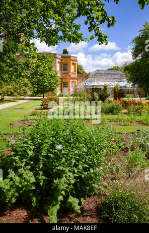 OXFORD, Regno Unito - giu 15, 2013: Piante e serra presso la University of Oxford Botanic Garden, il giardino botanico più antico in Gran Bretagna e uno dei vecchi Foto Stock