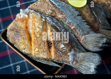 Fritti salati essiccati fanciulla servr di pesce con il limone in stile tailandese. Foto Stock