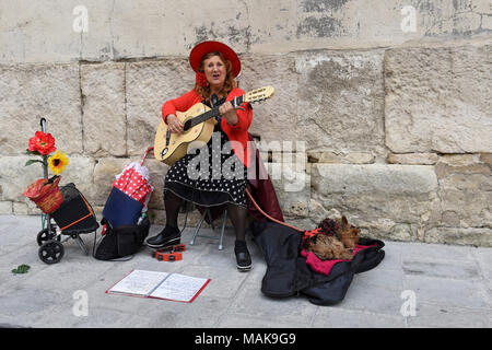 Donna musicista di strada con il suo cane in Arles, Francia Foto Stock