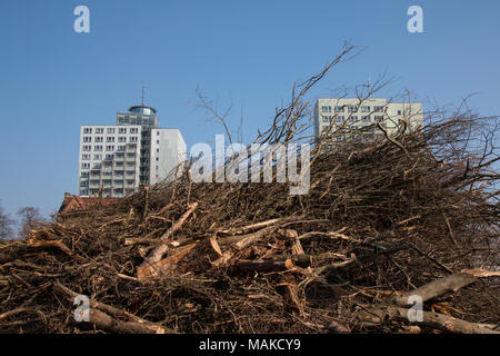 Magdeburg, Germania - 27 Marzo 2018: disboscato alberi sulla grande sito di costruzione Strombrückenzug a Magdeburg con due edifici ad alta nella Foto Stock