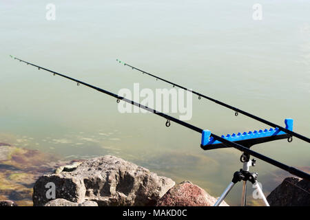 Canne da pesca al Lago Balaton, Ungheria Foto Stock