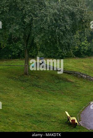 Heavy Rain nel parco locale, due persone camminare sotto un unico ombrello lontani Foto Stock