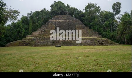 Le rovine maya di Lamanai. Die Maya-Ruinen von Lamanai. Foto Stock