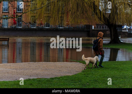 Warwickshire, Regno Unito. Il 2 aprile 2018. Piogge torrenziali a Stratford upon Avon provoca inondazioni, Warwickshire, Regno Unito. Credito: JHNews / Alamy Live News Foto Stock