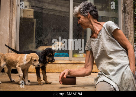 Kandy, Sri Lanka. Il 21 febbraio, 2018. EVA RUPPEL si siede con due salvato cuccioli a sua proprietà rurale vicino a Kandy, Sri Lanka, mercoledì 21 febbraio, 2018. Ruppel non gabbia approssimativamente 170 salvato i cani vivono con lei, consentendo loro la libertà di spostarsi e di interagire in piccole confezioni di penne multiple in tutta la sua proprietà, come pure all'interno di lei a casa. Ruppel creato Tikiri Trust, con il contributo finanziario di suo padre, di salvataggio e rehome Sri Lanka di cani randagi.It è possibile visitare lo Sri Lanka senza vedere i cani di strada in quasi ogni spazio pubblico, vicino ad alberghi, pensioni a Foto Stock