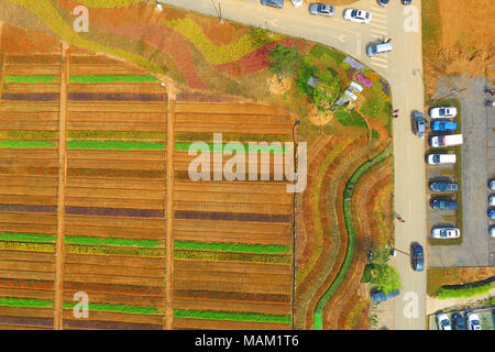 Nanjing, Nanjing, Cina. 2 apr, 2018. Nanjing, Cina-2nd Aprile 2018: Tulipani blossom in Nanjing East cinese della provincia di Jiangsu. Credito: SIPA Asia/ZUMA filo/Alamy Live News Foto Stock