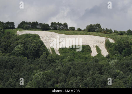 Kilburn Cavallo Bianco nel North Yorkshire per essere mantenuta dalla Commissione forestale Foto Stock