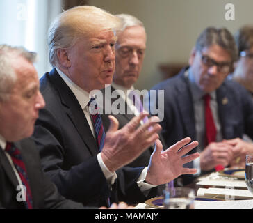 Washington, Distretto di Columbia, Stati Uniti d'America. 3 apr, 2018. Il Presidente degli Stati Uniti, Trump detiene un pranzo con gli Stati baltici i capi di Stato e di governo alla Casa Bianca a Washington DC, Aprile 3, 2018. Credito: Chris Kleponis/Piscina via CNP Credito: Chris Kleponis/CNP/ZUMA filo/Alamy Live News Foto Stock