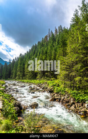 Paesaggio di montagna rapids sulle rive di un fiume in montagna, ambiente naturale in Tatra Foto Stock