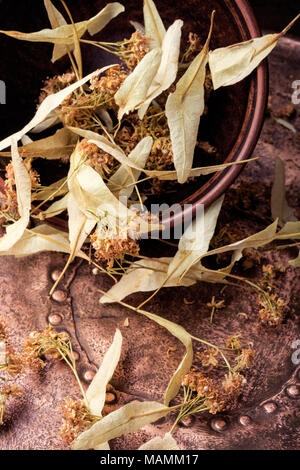 Fioritura linden, utilizzati per la preparazione di tè di guarigione.la medicina di erbe.medicina omeopatia Foto Stock