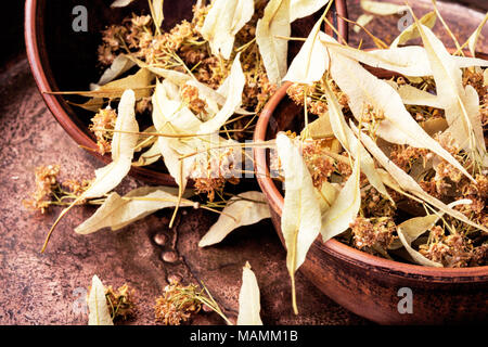 Fioritura linden, utilizzati per la preparazione di tè di guarigione.la medicina di erbe.medicina omeopatia Foto Stock