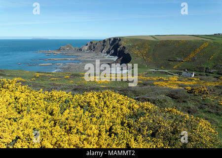 Lundy da Blackpool mulino; Devon, Regno Unito Foto Stock