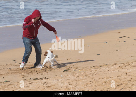 Un uomo giocando con il suo cane su Fistral Beach in Newquay Cornwall. Foto Stock