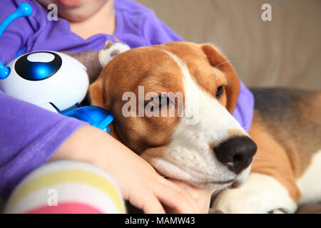 Kid abbracciando il cane beagle. Tema della cura di animali domestici. Foto Stock