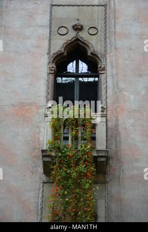 L'impiccagione Nasturtiums il nell'atrio dell'Isabella Stewart Gardner Museum di Fenway quartiere di Boston, Massachusetts, USA. Foto Stock