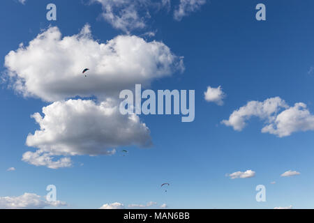 Alcuni parapendii battenti contro un bellissimo profondo cielo blu, con grandi nuvole bianche Foto Stock