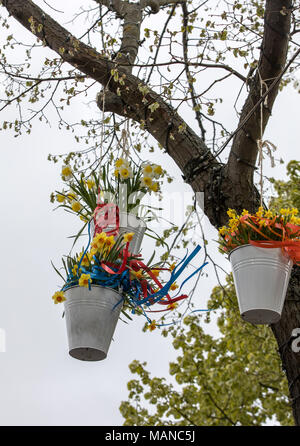 Noordwijkerhout, Paesi Bassi - 23 Aprile 2017: decorazioni con appesi i secchi con yellow daffodils presso la tradizionale sfilata di fiori Bloemencorso fr Foto Stock