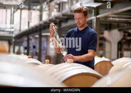 Giovane uomo vino di test in una fabbrica del vino magazzino Foto Stock