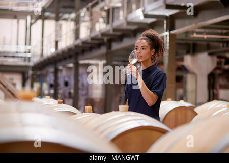 Giovane donna degustazione di vino in una fabbrica del vino magazzino Foto Stock