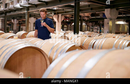 Giovane uomo degustazione di vino in una fabbrica del vino magazzino Foto Stock