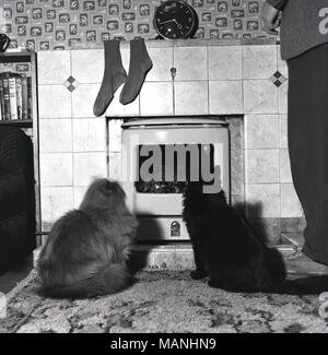 Anni sessanta, storico, due gatti in un salotto di una casa seduto accanto a ogni altro su una brutta rug infront, fissando e affascinato da un incendio reale, Inghilterra, Regno Unito. Una coppia di uomini calze è appeso sopra il camino piastrelle essiccamento. Foto Stock