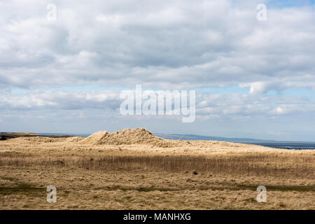 Dune di sabbia costiere su Holy Island, Northumberland, Regno Unito, sotto un cielo lunare. Un tranquillo paesaggio marino naturale in un ambiente costiero protetto. Foto Stock