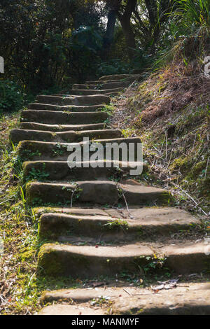 Vecchio, logoro, irregolare di gradini di pietra con moss sui lati avvolgimento attraverso la foresta Foto Stock