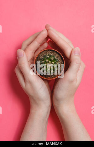 Femmina di tenere in mano il verde Cactus nel vaso sul pastello rosa colore di sfondo. La minima nozione. Lay piatto. Vista dall'alto. Foto Stock