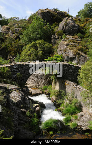 Laboreiro fiume. Castro Laboreiro. Panda Geres National Park. Portogallo Foto Stock