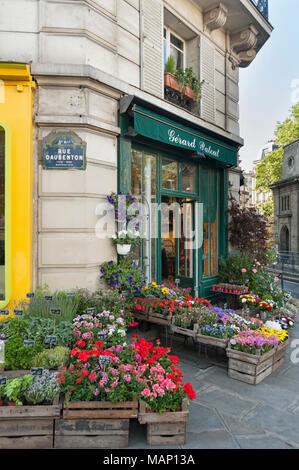 PARIGI, FRANCIA - 07 MAGGIO 2011: Grazioso fiorista in Rue Daubenton Road vicino al mercato in Rue Mouffetard nel quartiere Jardin des Plantes di Parigi Foto Stock