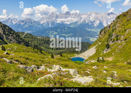 Vista aerea dalla montagna e Gasselhoehe Rippetegg con fiore Alpenrose al lago blu Spiegelsee e distante la gamma della montagna Dachstein in Austria Al Foto Stock
