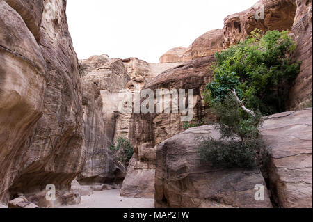 Il Siq è la voce principale strada che conduce alla sala Treasary nella città archeologica di Petra, Giordania. Foto Stock