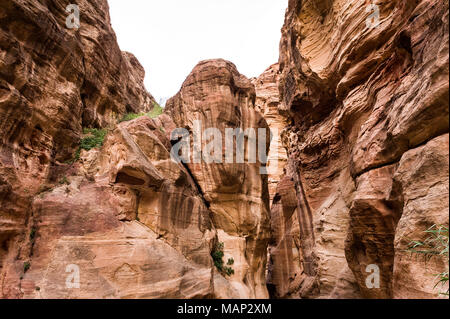 Il Siq è la voce principale strada che conduce alla sala Treasary nella città archeologica di Petra, Giordania. Foto Stock