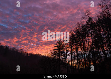 La luce dal sole all'orizzonte riflette dal ventre molle di uno strato di nubi. Foto Stock