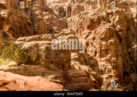 Al-Khazneh è uno dei più elaborati templi in antichi arabi Regno Nabatean città di Petra. Foto Stock