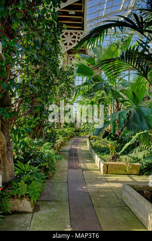 Gli interni della casa Camelia nei giardini di Woburn Abbey, Bedfordshire, Regno Unito; costruita agli inizi del XIX secolo da Jeffry Wyatt Foto Stock