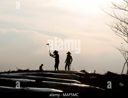 Silhouette gli agricoltori stanno lavorando nei campi Foto Stock