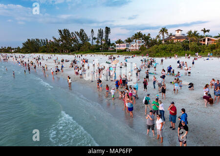 Guarda gli ultimi raggi del tramonto, Naples Beach, Naples, Florida, Stati Uniti d'America Foto Stock