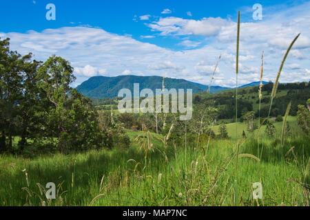 Paesaggio nell entroterra australiano in estate Foto Stock