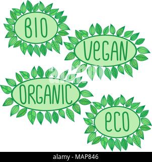 Eco Bio, organico, vegan sign in verde badge ovale con foglie intorno, vettore etichetta illustrazione, concetto ecologico adesivi Illustrazione Vettoriale