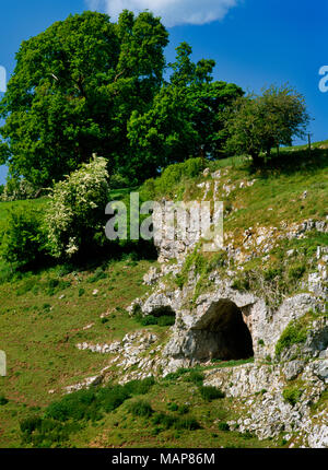 Ingresso a Ffynnon Beuno grotta in una rivolta a sud rupe calcarea sul lato e della Valle di Clwyd, Galles del Nord, Regno Unito: Paleolitico resti scoperto. Foto Stock